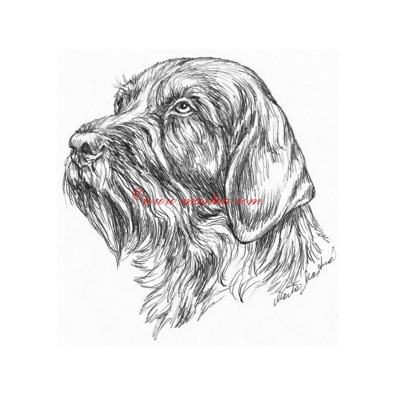 Samolepka německý ohař krátkosrstý, český fousek