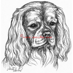 Samolepka kavalír king Charles španěl