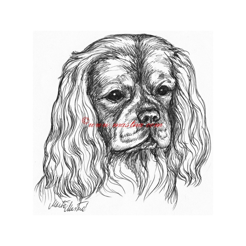 Samolepka kavalír king Charles španěl