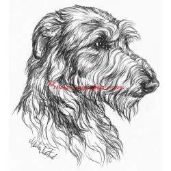 Samolepka deerhound, skotský jelení pes, chrt