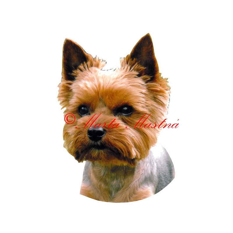 Samolepka jorkšír teriér