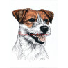 Obraz Parson Jack Russel teriér, kolorovaná perokresba - tisk
