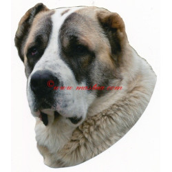 Samolepka středoasijský pastevecký pes, asiat