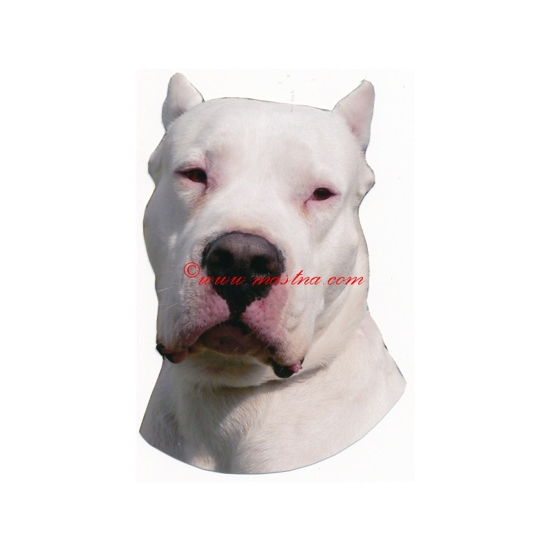 Samolepka argentinská doga