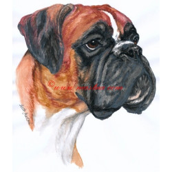 Samolepka německý boxer