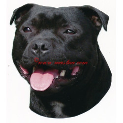 Samolepka stafordšírský bulteriér, staford