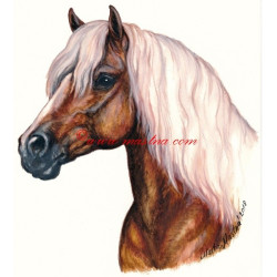 Samolepka hafling, kůň, koně