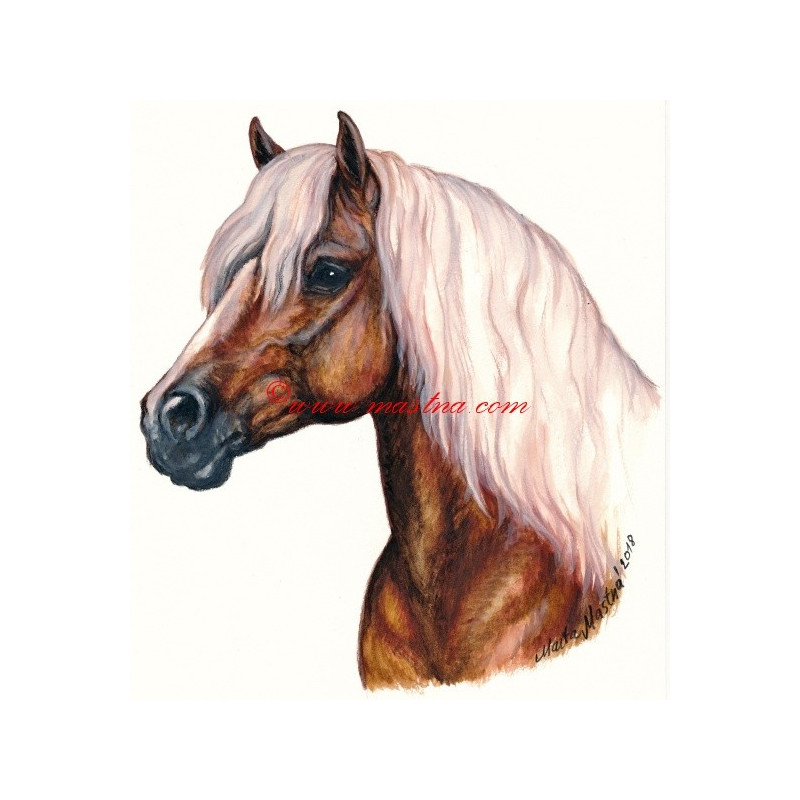 Samolepka hafling, kůň, koně