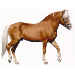 Samolepka hafling, kůň, koně