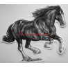 Samolepka shire horse , kůň, koně
