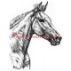 Samolepka teplokrevník,Orphee des Blins , kůň, koně