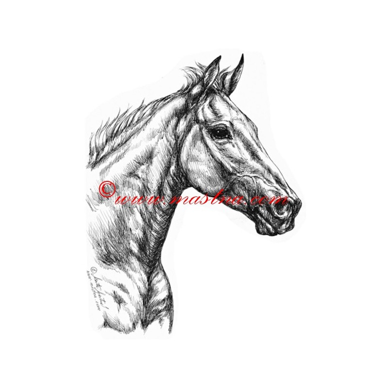 Samolepka teplokrevník,Orphee des Blins , kůň, koně