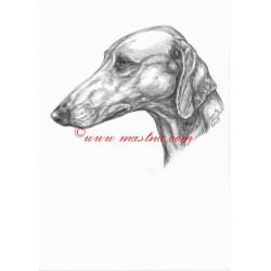 Autorský tisk azavak