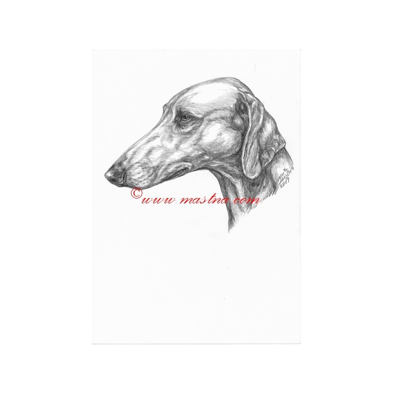 Autorský tisk azavak