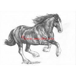 Obraz shire horse, kůň, koně, tužka - tisk