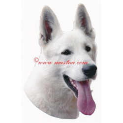 Samolepka bílý švýcarský ovčák