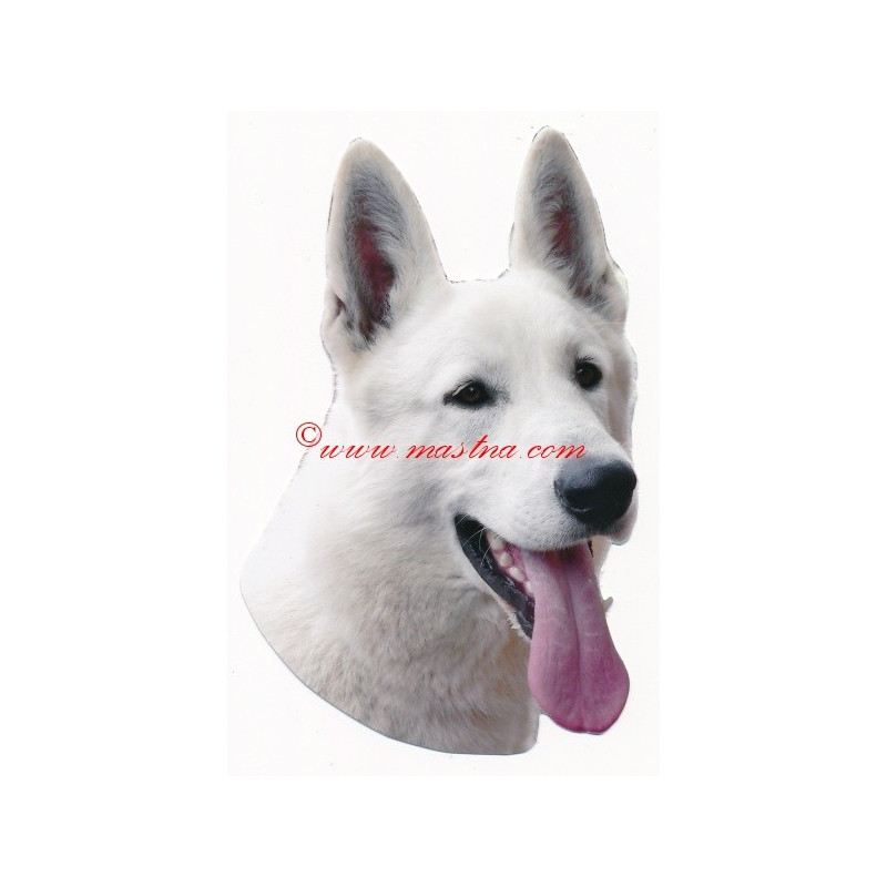 Samolepka bílý švýcarský ovčák