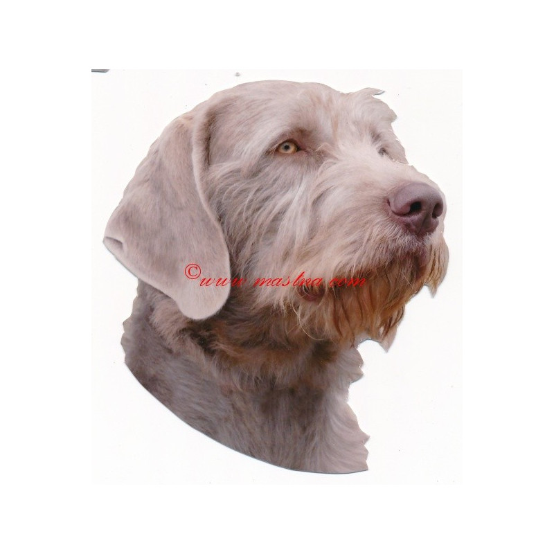 Slovenský hrubosrstý ohař, stavač