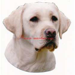 Samolepka labrador retriever, retrívr
