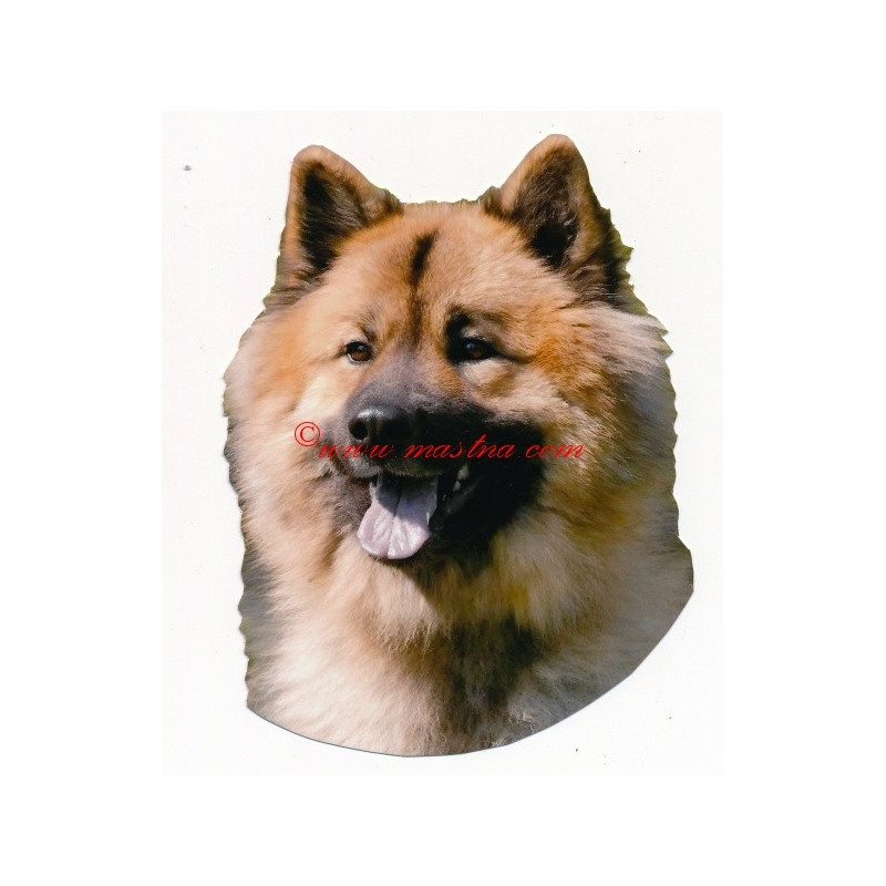 Samolepka eurasier