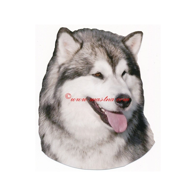 Samolepka aljašský malamut