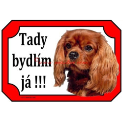 Tabulka kavalír king Charles španěl