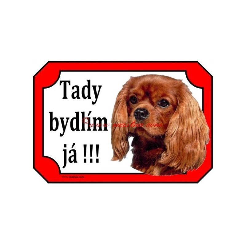 Tabulka kavalír king Charles španěl