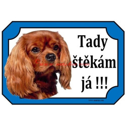 Tabulka kavalír king Charles španěl