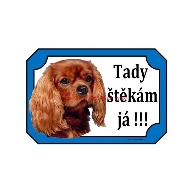 Tabulka kavalír king Charles španěl