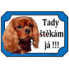 Tabulka kavalír king Charles španěl