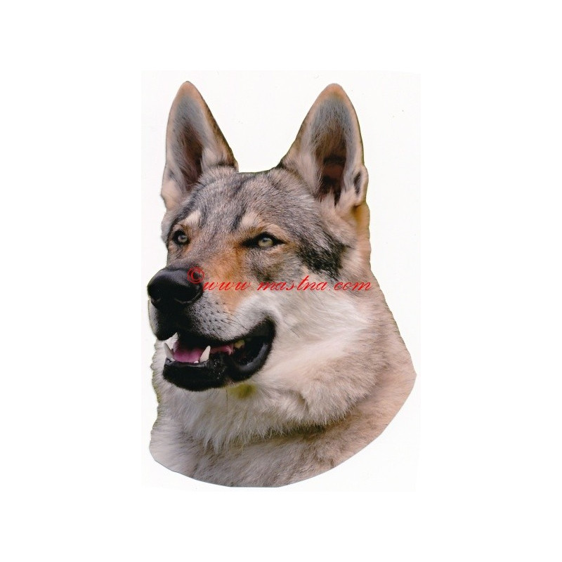 Samolepka československý vlčák