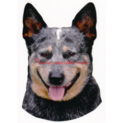 Samolepka australský honácký pes, honák