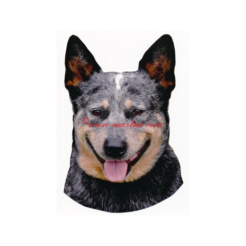 Samolepka australský honácký pes, honák