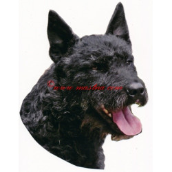 Samolepka holandský ovčák hrubosrstý