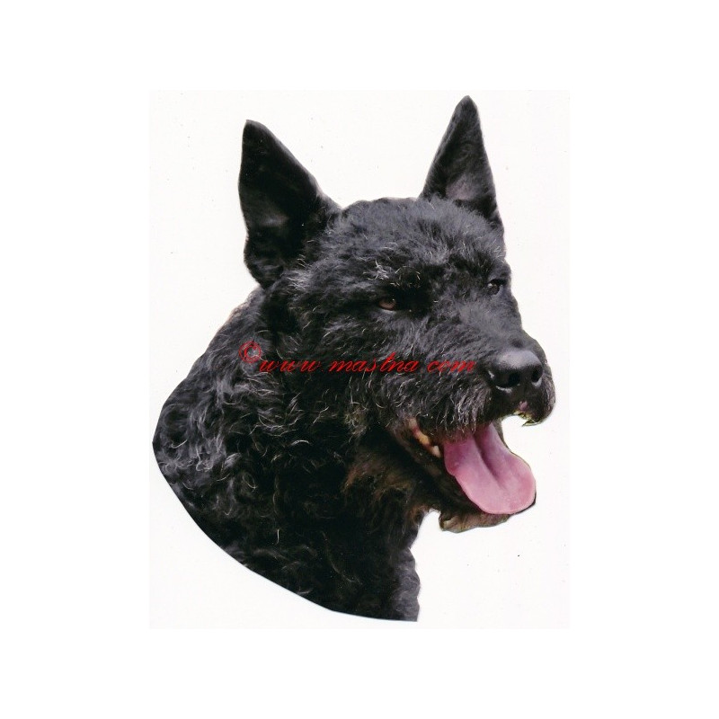 Samolepka holandský ovčák hrubosrstý