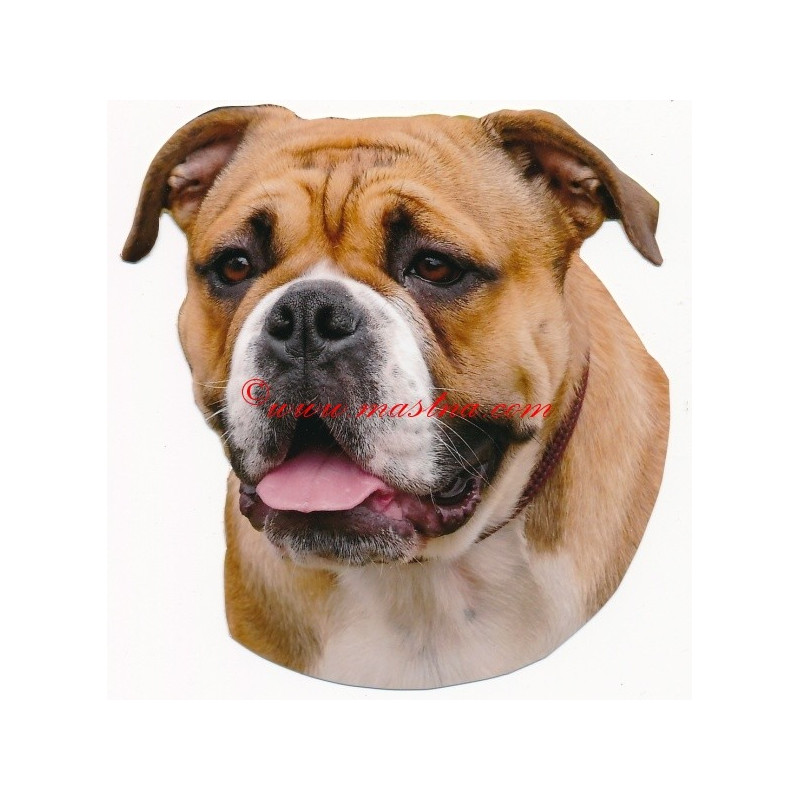 Samolepka kontinentální buldok