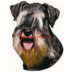 Samolepka knírač černostříbřitý