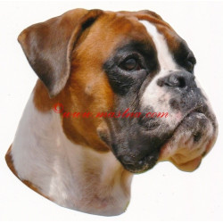 Samolepka boxer německý