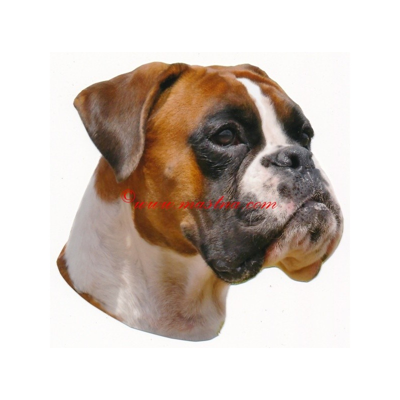 Samolepka boxer německý