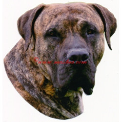 Samolepka presa canario, kanárská doga