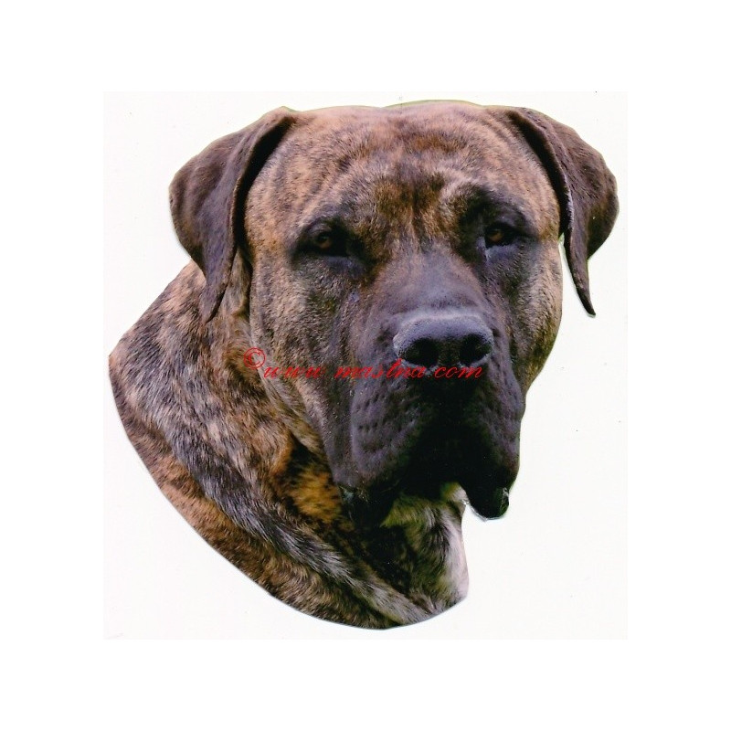 Samolepka presa canario, kanárská doga