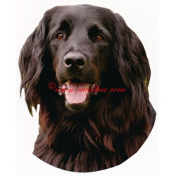 Samolepka hovawart černý