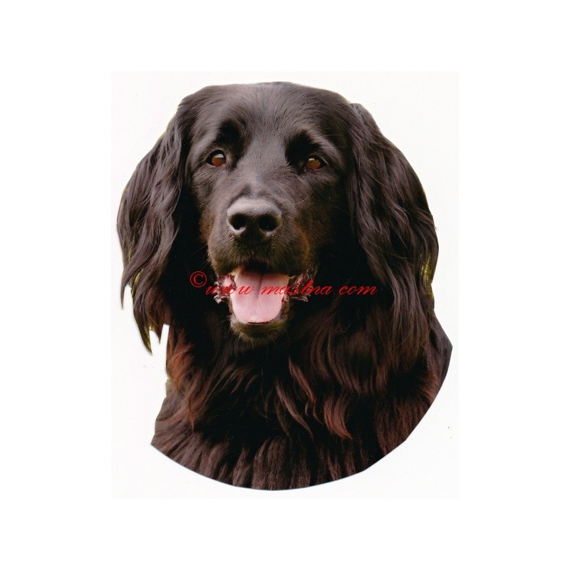 Samolepka hovawart černý