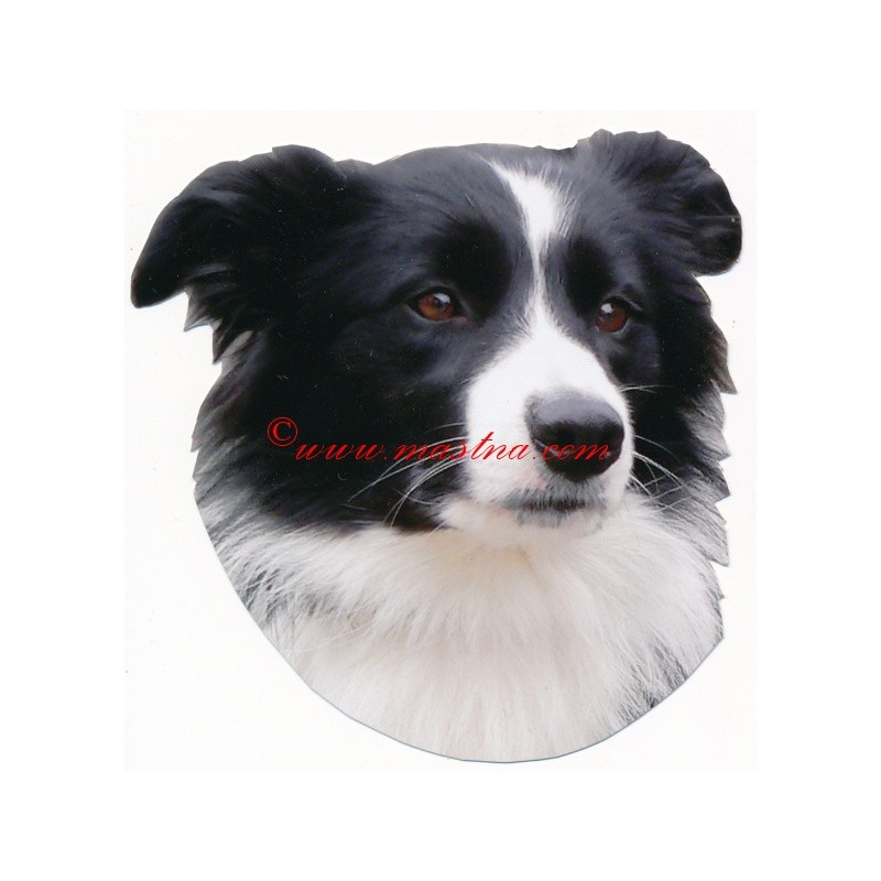 Samolepka border kolie