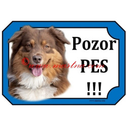 Tabulka australský ovčák