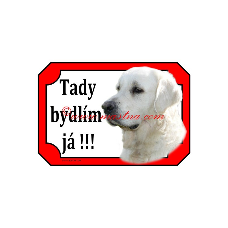 Tabulka zlatý retrívr, golden