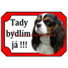 Tabulka kavalír king Charles španěl