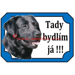 Tabulka labrador retrívr