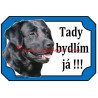 Tabulka labrador retrívr