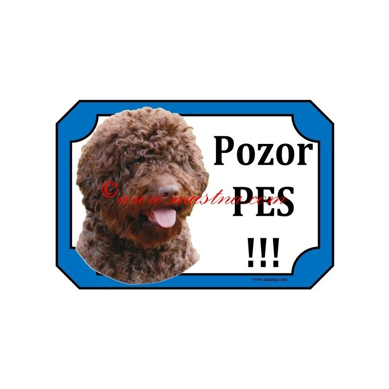 Tabulka lagotto romagnolo